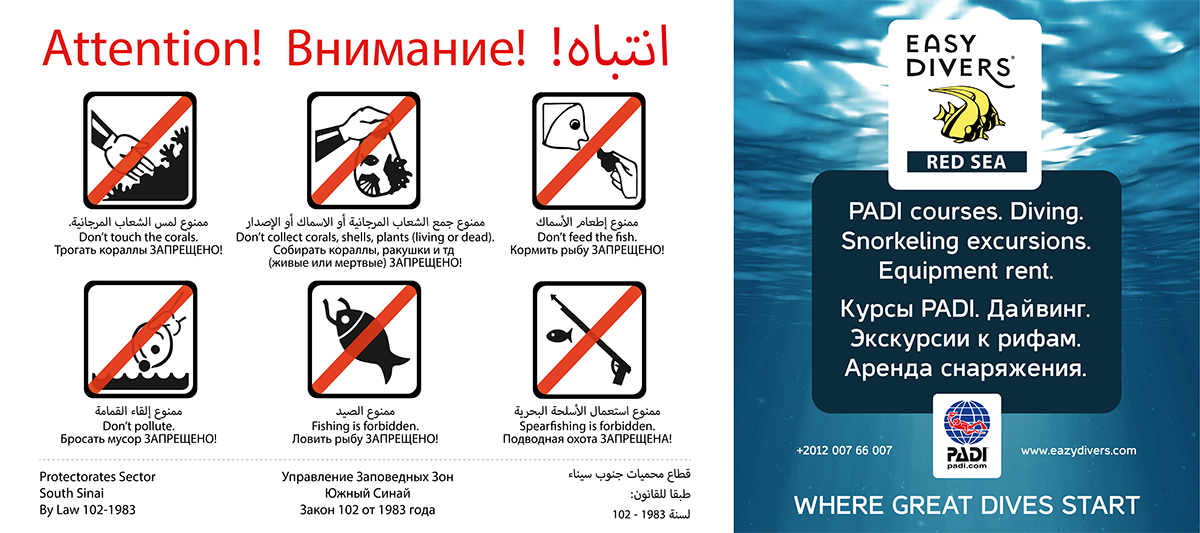 Information Board Design for Easy Divers, Sharm El Sheikh - 2